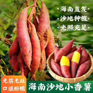 海南沙地小香薯黄心板栗红薯新鲜地瓜粗粮番薯山芋粉糯香甜