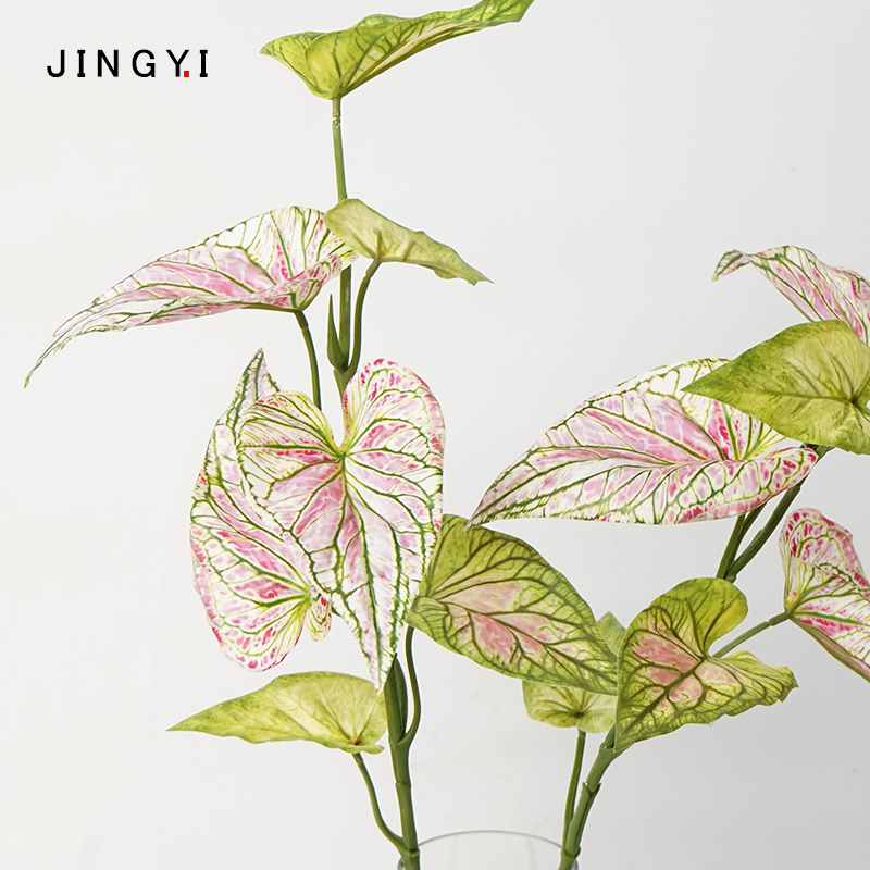 仿真绿植彩叶芋合果芋热植高仿真