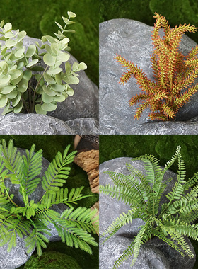 仿真绿植把束蕨类波斯蕨排草塑料植物墙配套景观红色叶子造景多种