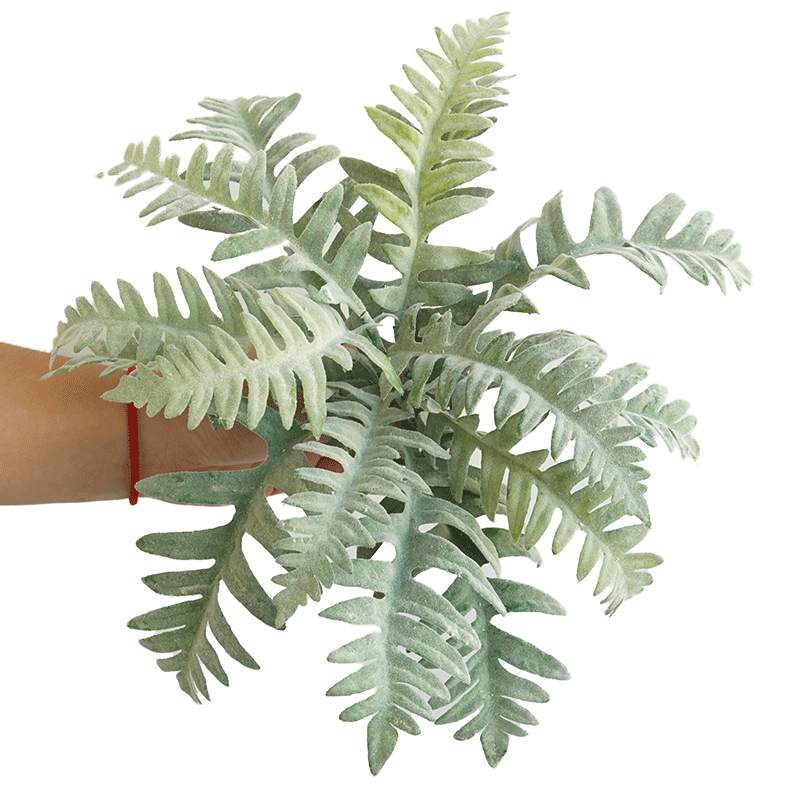仿真蕨类把束叶子植物绿植墙婚庆装饰仿真花草波斯草假树叶绿色