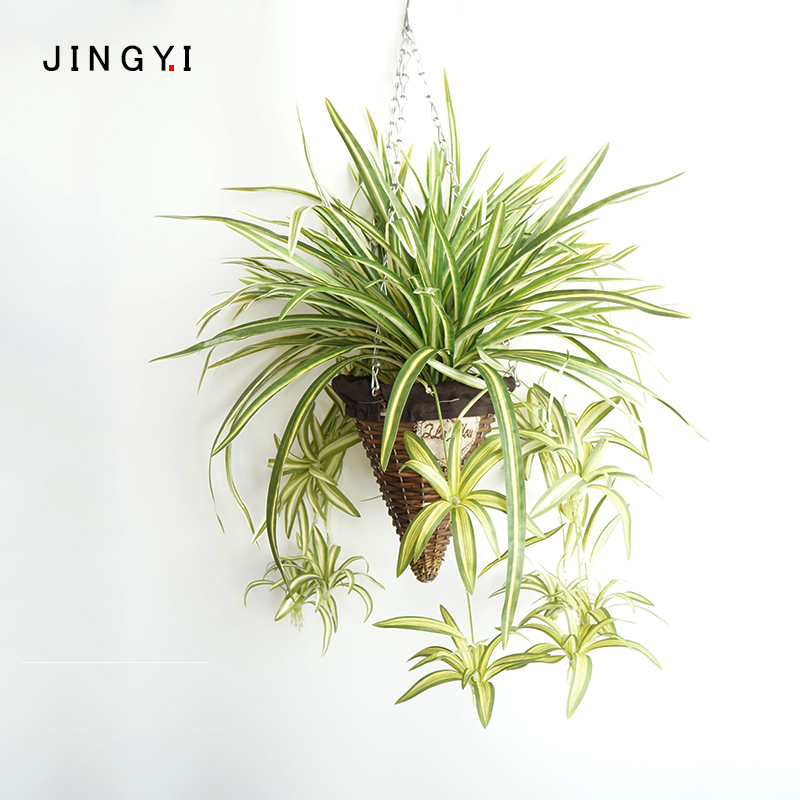 吊兰塑料带花把束金丝边配材