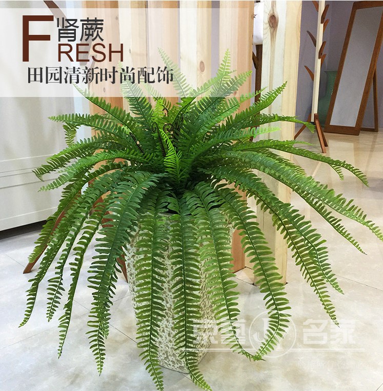 仿真蕨类植物插花波斯草