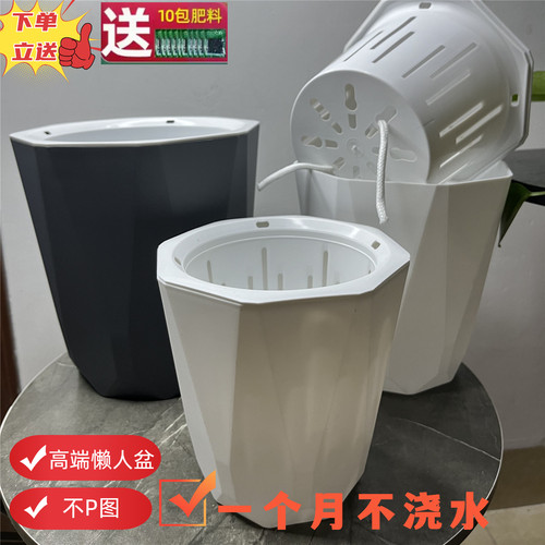 懒人自动吸水花盆绿萝专用多肉吸水花盆塑料室内家用创意自动花盆