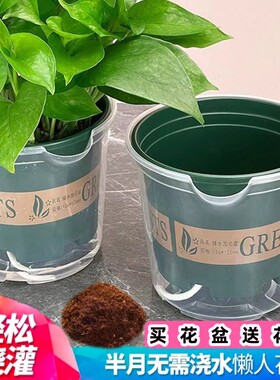 懒人花盆自动吸水白色塑料水培吊兰绿萝多肉花盆2021新款送营养土