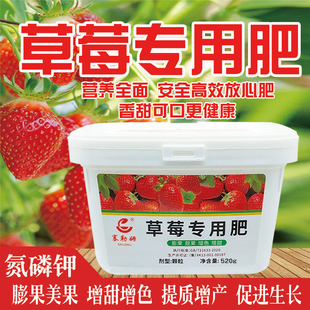 草莓专用肥料家用室内盆栽草莓颗粒水溶肥钙肥膨大增甜有机复合肥