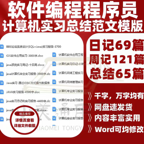 计算机编程程序员网络开发java实习总结述职模板试用期报告晋述职