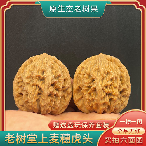 老树麦穗虎头堂上虎头45尺白茬