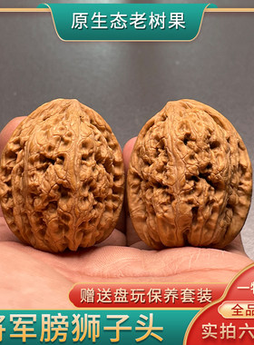 文玩核桃野外生原色狮子头手把件
