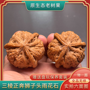 野生小众天然生长三棱正奔狮子头雨花石全品无修一物一图文玩核桃