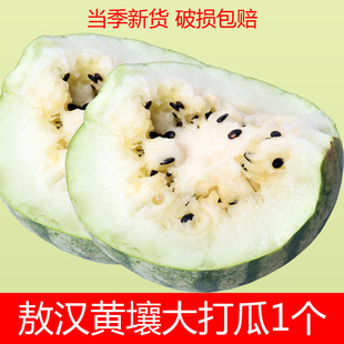 敖汉打瓜黄壤大个产地新鲜开园食用特产打瓜糖赤峰打瓜特产
