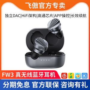 FiiO/飞傲FW3真无线蓝牙耳机HiFi发烧运动跑步入耳式手机通话耳塞