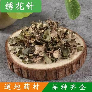 绣花针中草药伏牛花 虎刺 老鼠刺 寿星草500g包邮中药材大全店铺