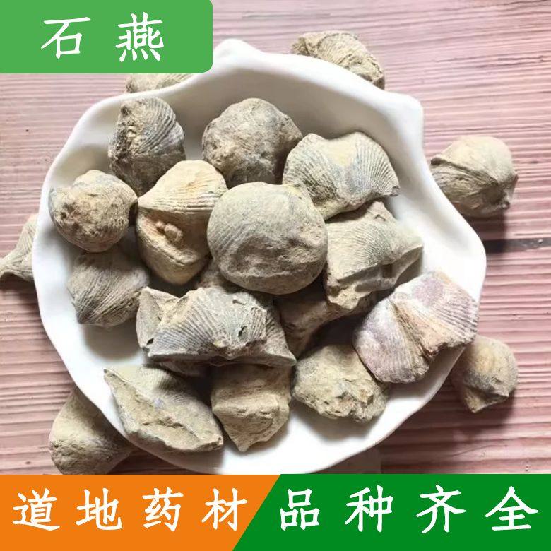 石燕500克 中药材石燕 燕石子 燕子石 水飞石包邮店有磁石 灶心土