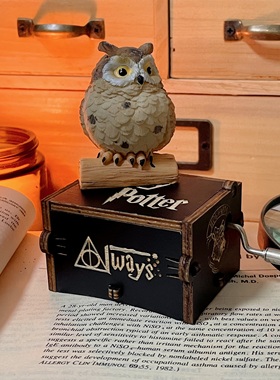 无聊了 就送Ta一个 哈利波特手摇音乐盒！迷你八音盒创意生日礼物