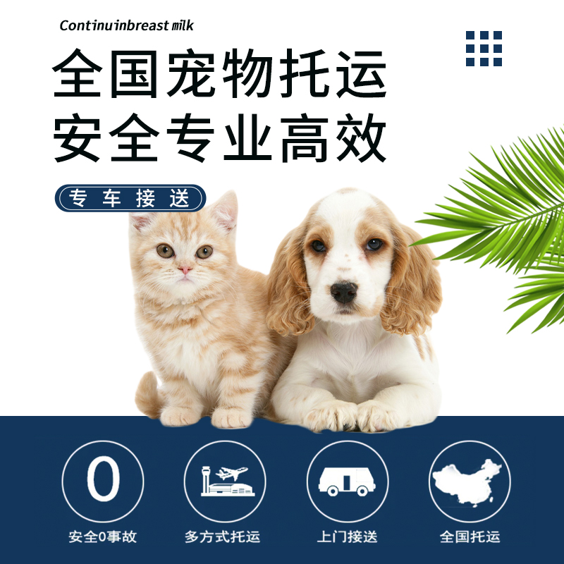 宠物托运服务猫狗活体全国国际运输广州深圳北京上海空运火车专车