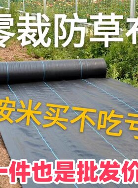 零裁防草布除草布加厚抗老化果园蔬菜种植遮草布透气透水盖草布