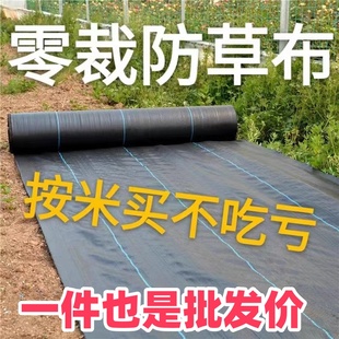 零裁防草布除草布加厚抗老化果园蔬菜种植遮草布透气透水盖草布