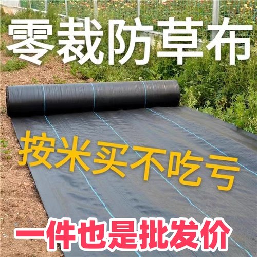 零裁防草布除草布加厚抗老化果园蔬菜种植遮草布透气透水盖草布