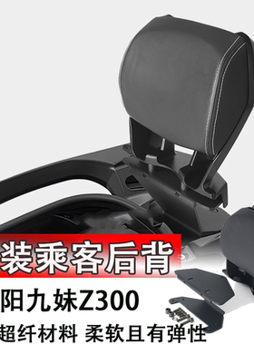 适用 SYM三阳九妹300靠背 joymaxZ300plus后靠背XS300T乘客靠背