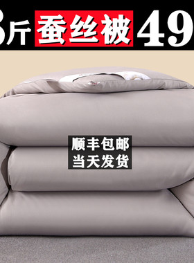 纯棉冬被加厚保暖春秋季