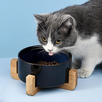 星空陶瓷宠物碗猫碗狗碗狗食盆吃饭碗狗狗大号喝水碗水盆猫咪黑色