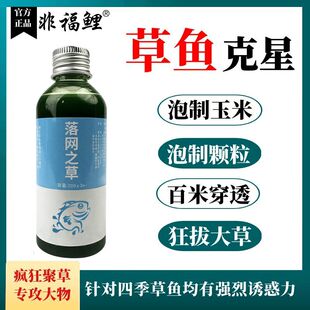 草鱼一瓶搞定添加黑坑野钓专用饵料窝料诱鱼小药草鱼开口中药酒