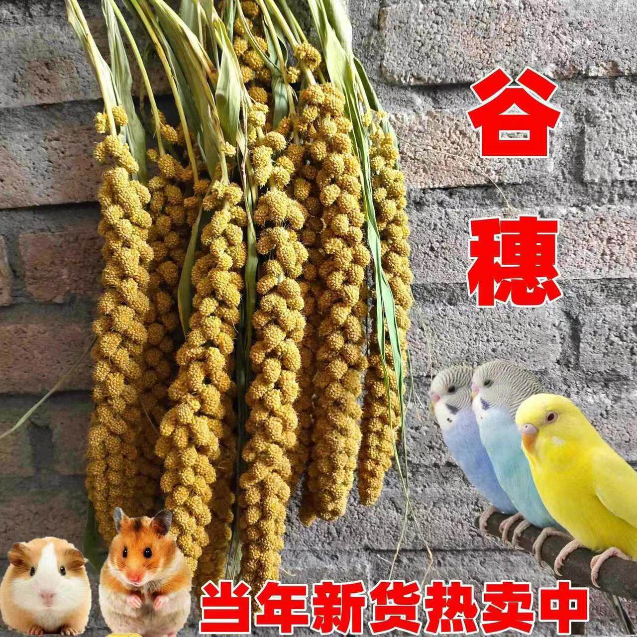 鸟鹦鹉零食芦丁鸡饲料黄谷穗仓鼠粮食小米穗笼造景黄谷子摄影杂粮