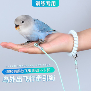 超轻鹦鹉放飞绳不伤脚训练绳适用虎皮玄凤牡丹脚环脚链脖套遛鸟