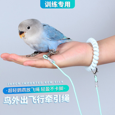 鹦鹉放飞绳牵引绳鸟外出专用训练绳虎皮玄凤牡丹脚环脚链遛鸟神器