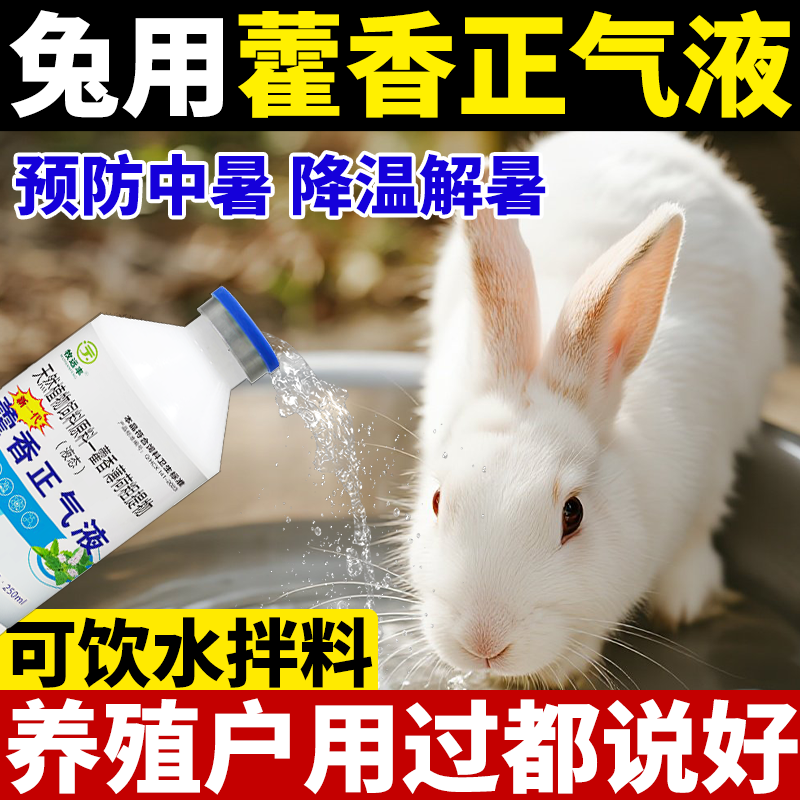 养兔专用藿香正气液降温解暑抗热应激藿香水口服液兔子防中暑兽用