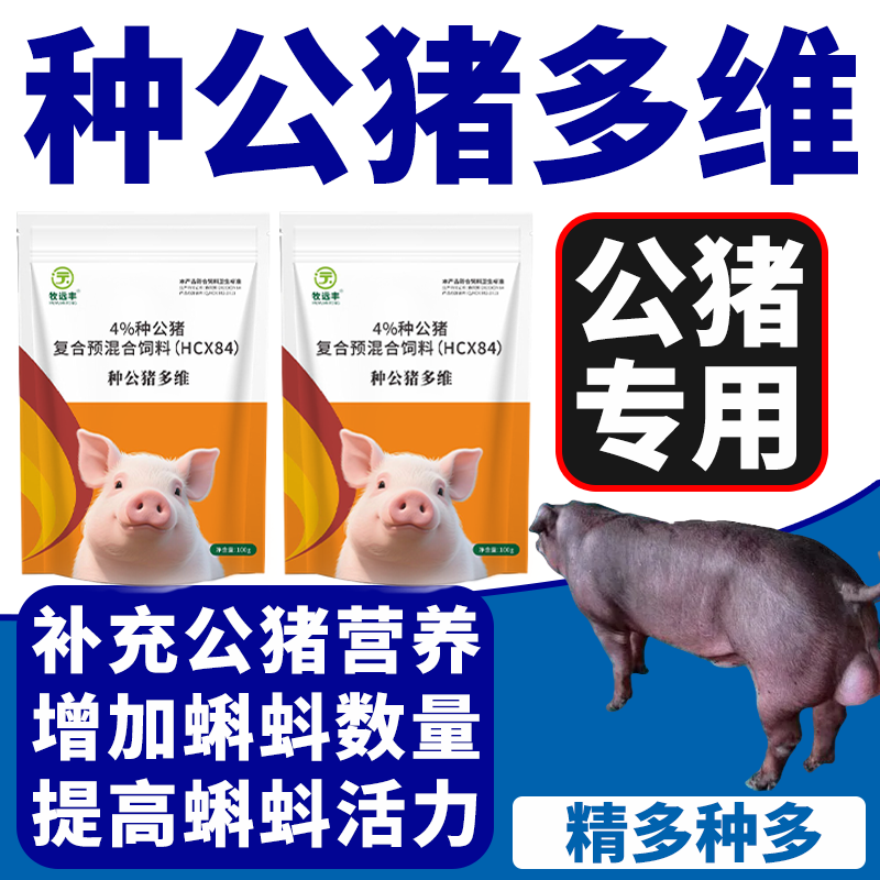 公猪不爬架精少种公猪专用添加剂畜牧/养殖饲料