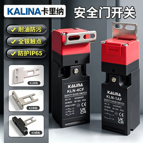 安全门开关滑动钥匙单D4SL-NSK10-LK NSK10-LKH N2NFA-D D4NS-1AF