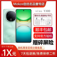 vivo Y300 抗摔护眼直屏 超级扬声器 6500毫安大电池5G智能手机