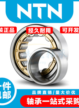 日本进口NTN轴承N/NU/NJ/NF/NUP 209 210 211 212 213 214 215 EM