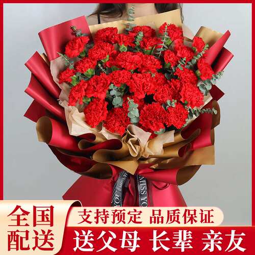 母亲节康乃馨花束送妈妈鲜花速递同城配送眉山市东坡区仁寿彭山县