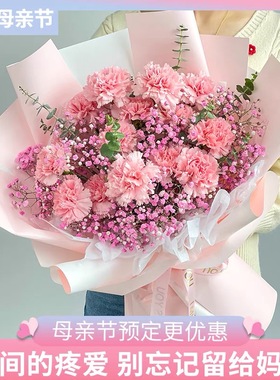 母亲节康乃馨花束鲜花速递辽宁省抚顺市新抚区望花顺城区同城配送