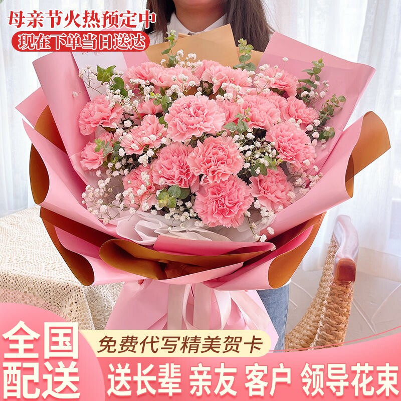 母亲节康乃馨花束鲜花速递湖南省娄底市涟源市新化县同城花店配送