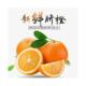 直拍江西赣南脐橙橙子新鲜水果当季 包邮 整箱20斤正宗精品赣州甜橙