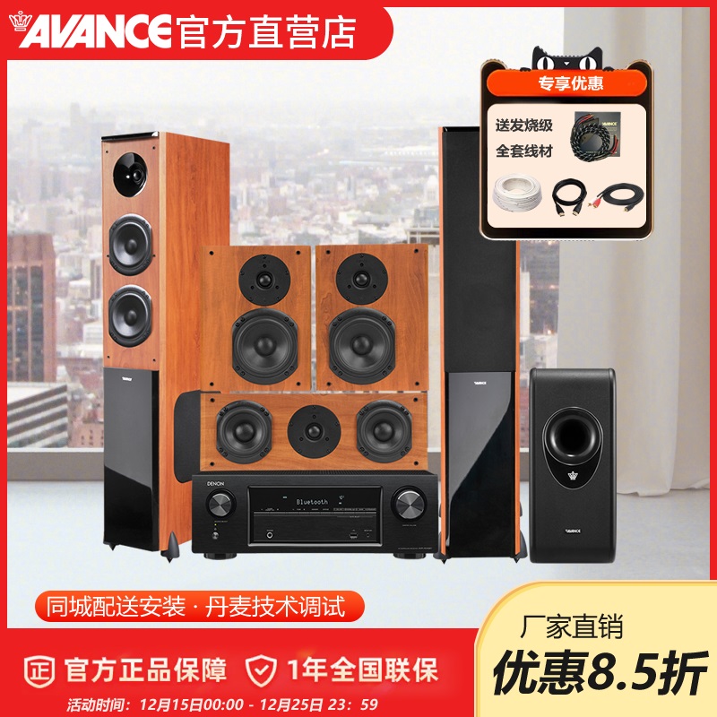 AVANCE V5 丹麦皇冠音响音箱家庭影院音响家用HIFI发烧本质音箱