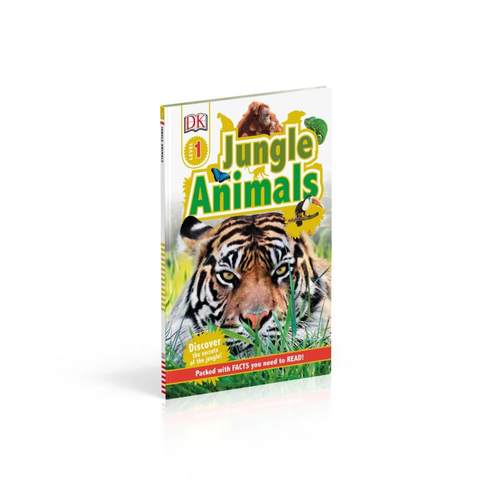 DK小读本1级儿童科普分级读物?