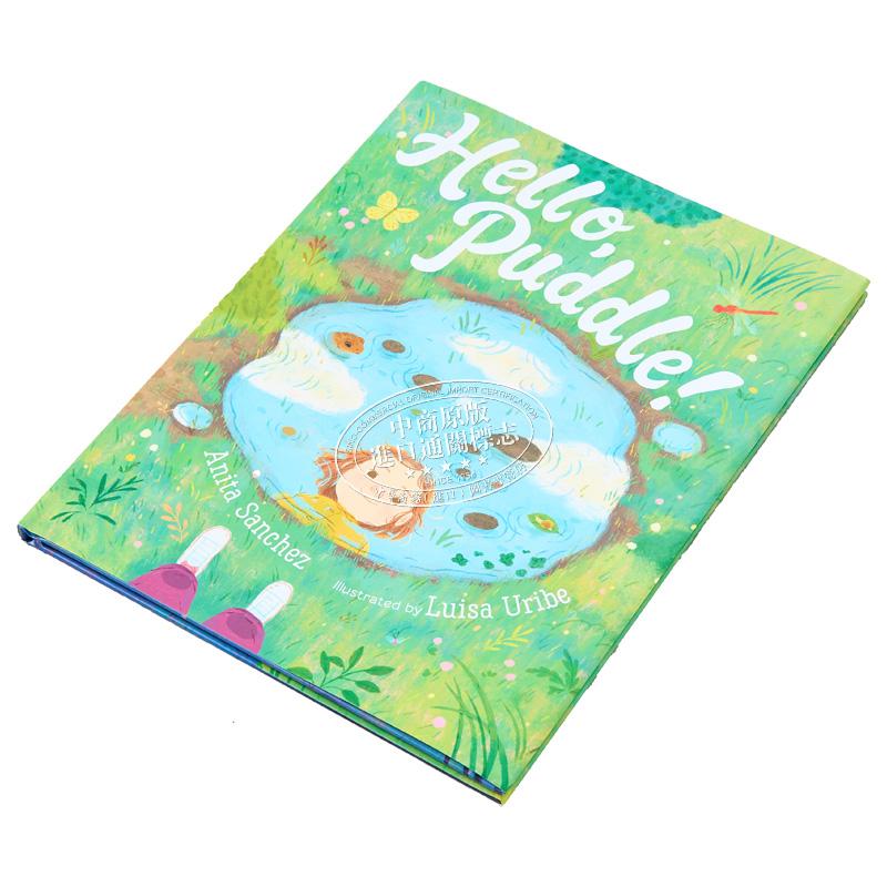Hello, Puddle! 你好，小水塘 英文原版 进口原版 4岁到7岁 精装 儿童图画书 Anita Sanchez
