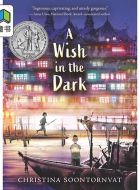 A Wish in the Dark 纽伯瑞 黑暗中的愿望 2021纽伯瑞银奖 英文原版 儿童文学 获奖英语故事书 平装