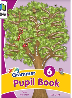 快乐语法6 学生用书 手写体字母 英式英语版 Jolly Grammar 6 Pupil Book In Precursive Letters 英文原版进口 大音