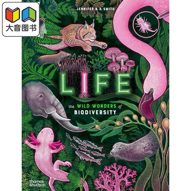 The Wild Wonders of Biodiversity 生物多样性的奇妙之处 Jennifer NR Smith 英文原版 动植物知识科普 儿童绘本 大音
