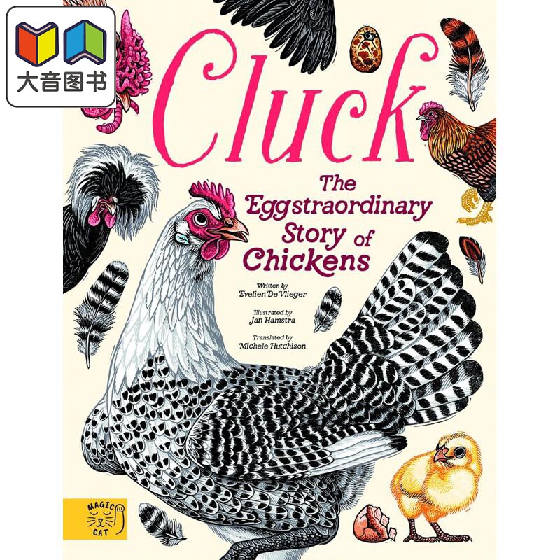 鸡的非凡故事 Cluck 英文原版 儿童科普绘本读物 图文并茂 鸟类爱好者和花园养鸡户的理想指南 进口童书 精装 大音