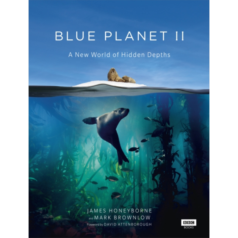 预售 BBC纪录片 海洋百科 蓝色星球II 英文原版 Blue Planet II 詹姆斯霍尼伯内 海洋生物纪实 全彩精装 科普读物 大音