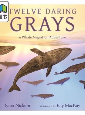十二头勇敢的灰鲸 一场鲸鱼迁徙冒险 Twelve Daring Grays A Whale Migration Adventure 英文原版 绘本故事书 大音