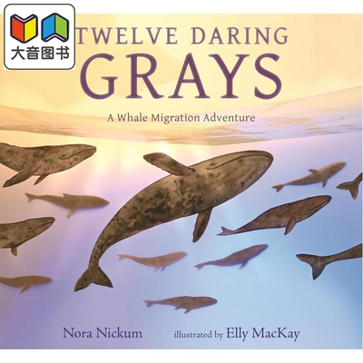 十二头勇敢的灰鲸鲸鱼迁徙冒险