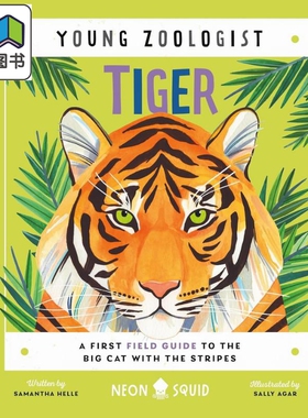 小动物家 老虎 Young Zoologist Tiger 英文原版 儿童科普绘本 动物知识百科图画书 精装绘本 进口科学读物 5-8岁 大音