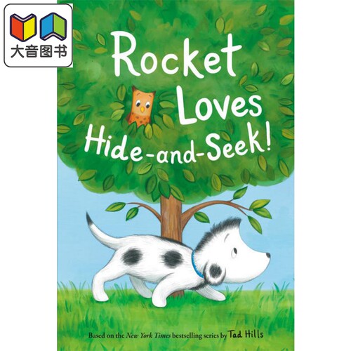 Step into Reading Step 1 Rocket Loves Hide And Seek 兰登阅读进阶1小狗洛奇捉迷藏 英文儿童绘本 分级读物 大音